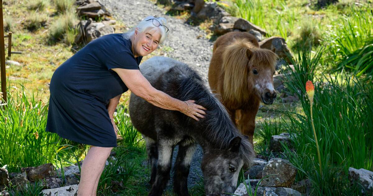 Christine Shepherd, of Travellers Rest, with miniature horses Henry (front) and Jack (behind). Picture by Phillip Biggs