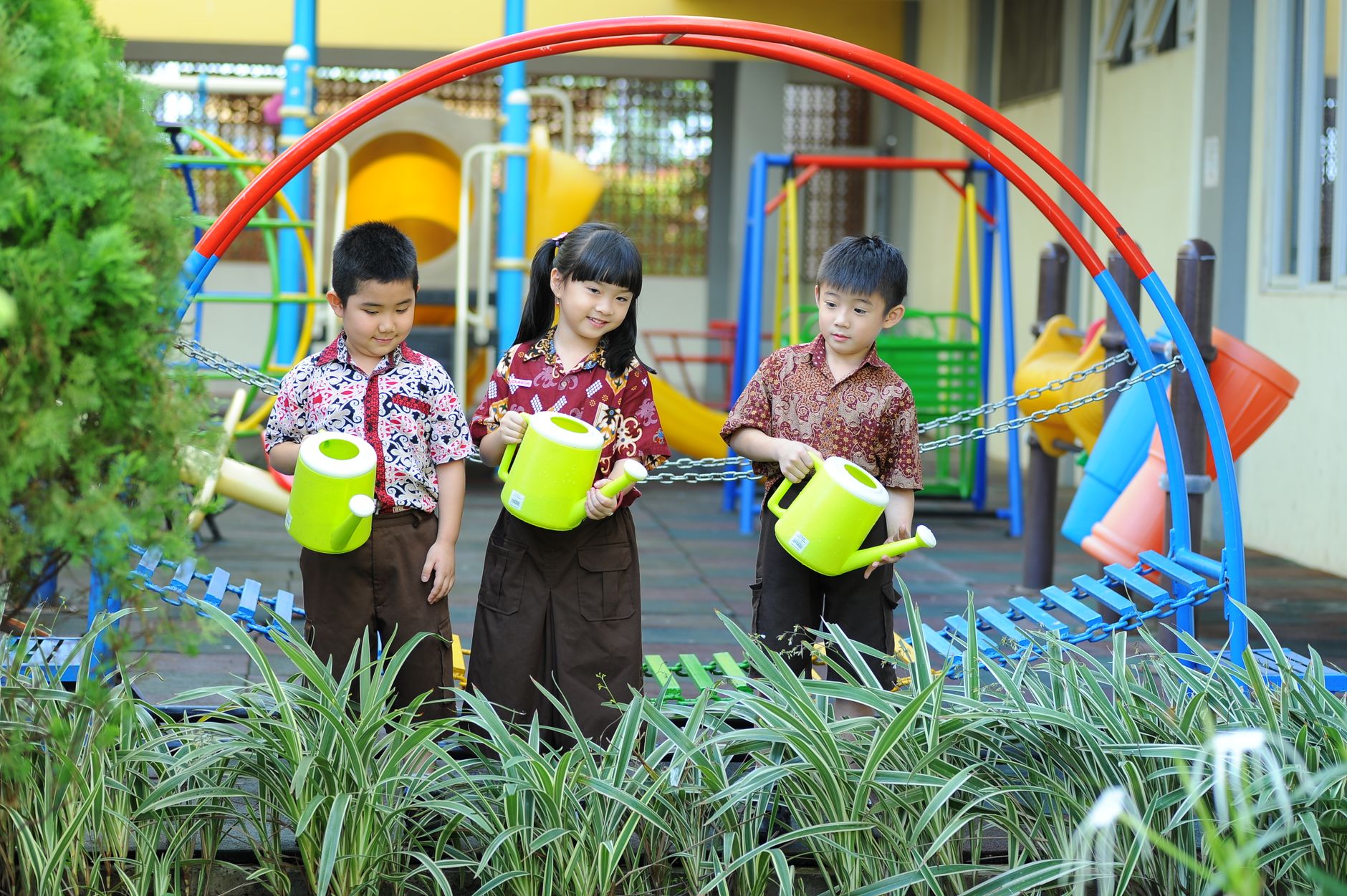 Volunteers cultivate dense Miyawaki mini-forests to cool urban primary schoolyards