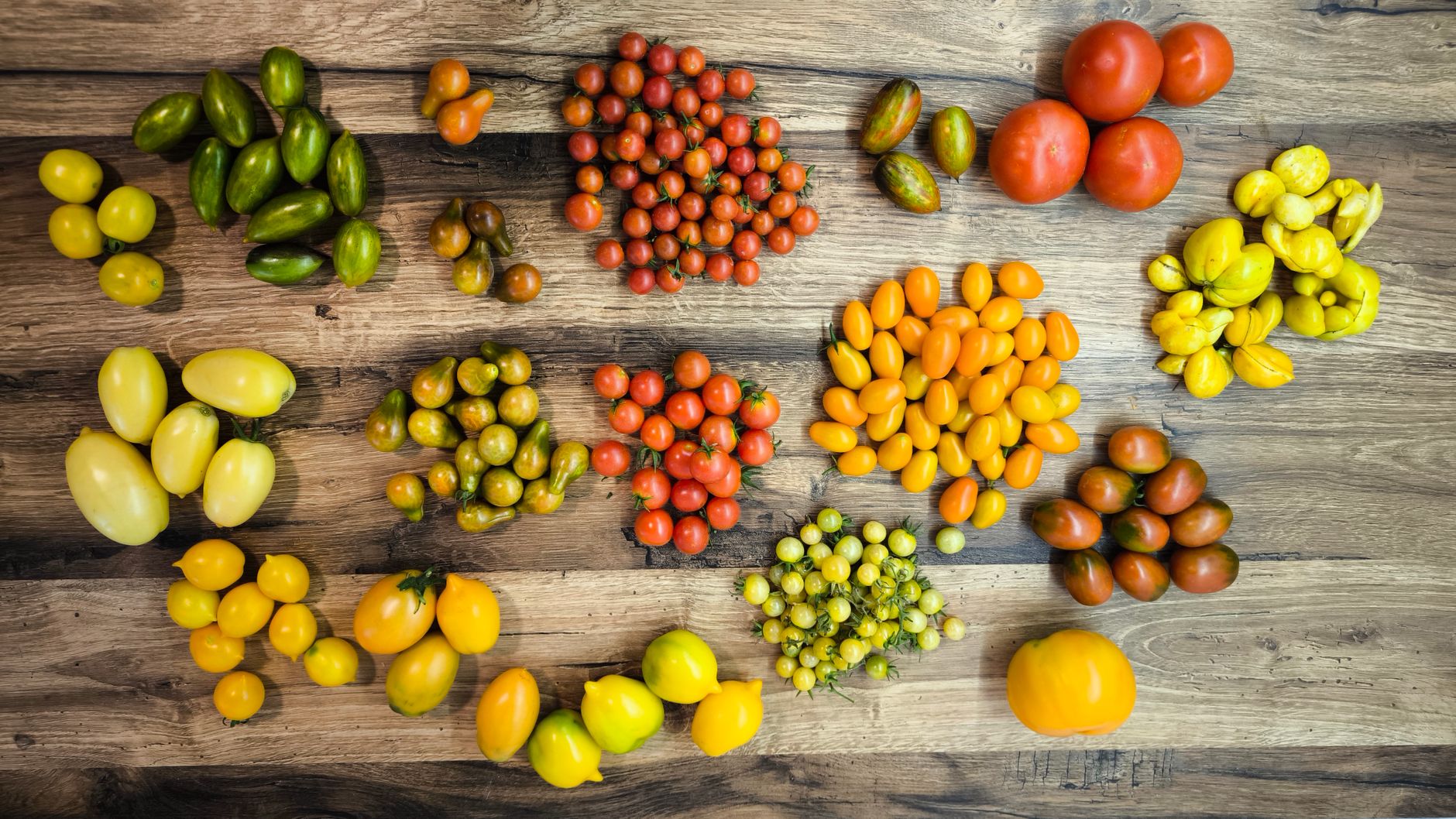 Public libraries partner with heirloom seed savers to distribute free garden crops