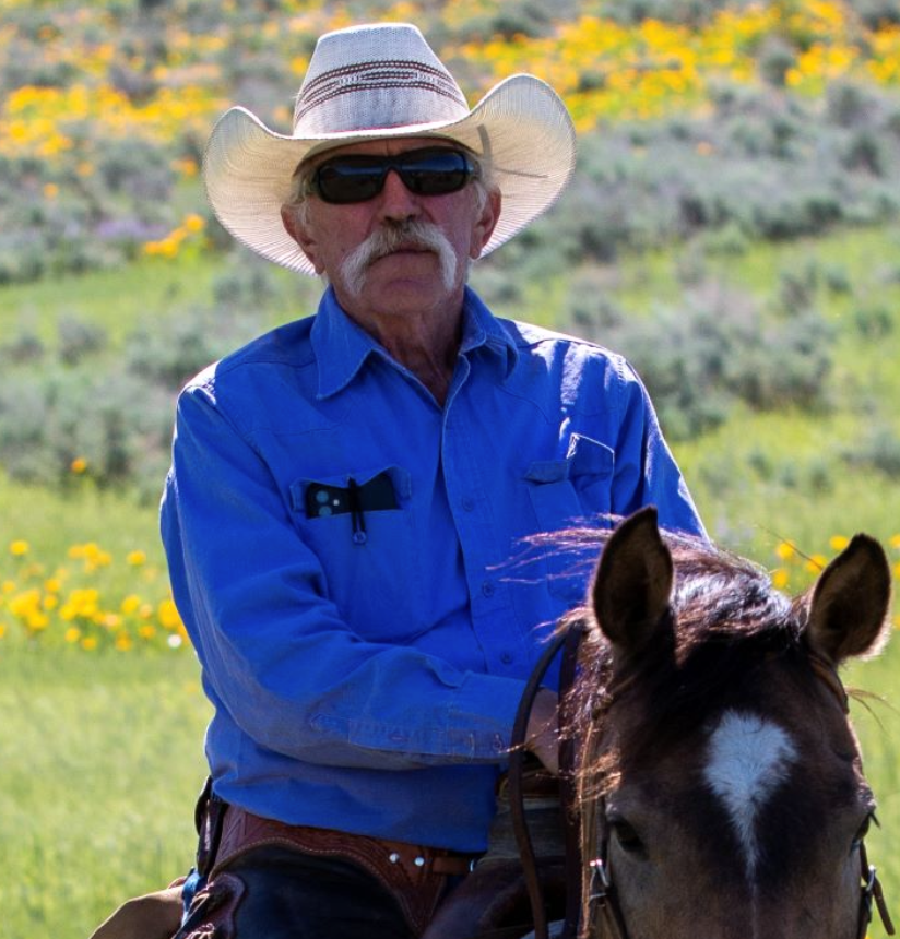Idaho rancher watches beavers rebuild Birch Creek watershed over ten years
