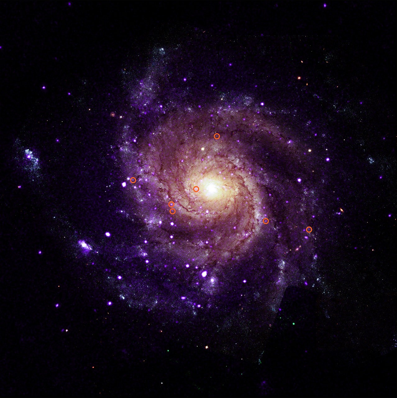 X-ray objects